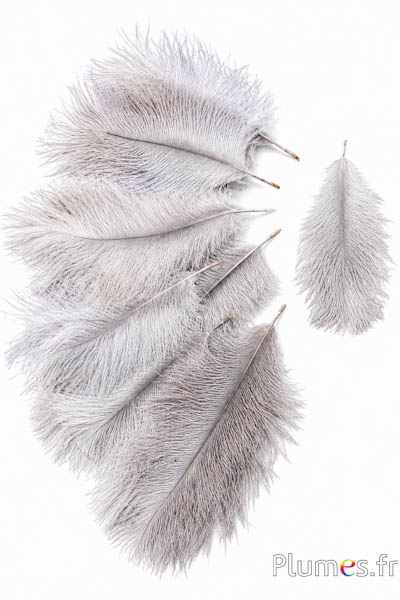 Struisvogel Bellies -8-13 cm - natuurlijk 